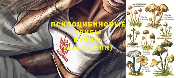 прущие грибы Богородицк