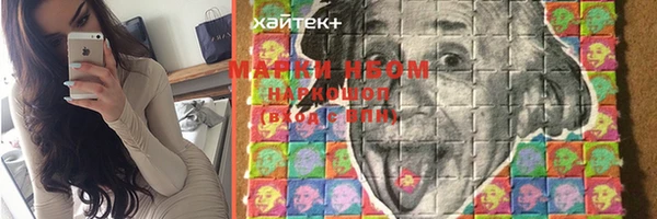 прущие грибы Богородицк