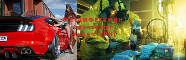 прущие грибы Богородицк